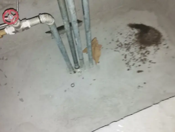 鹤壁市卫生间测漏水价格明细