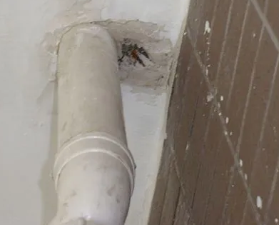 鹤壁市漏水检测哪家好